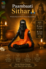 Paambaati Sithar