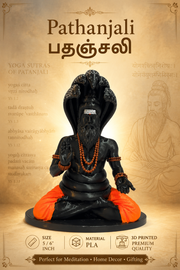 Pathanjali பதஞ்சலி